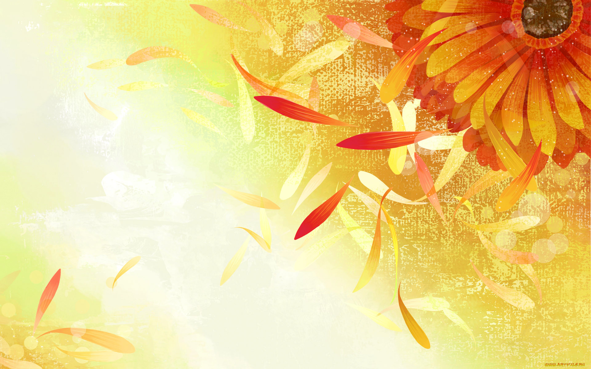  ,  , flowers, , , , 